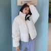 Chaquetas y abrigos – Chaquetas