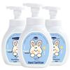 Haishi Hainuo Antibacterial Foam Hand Soap