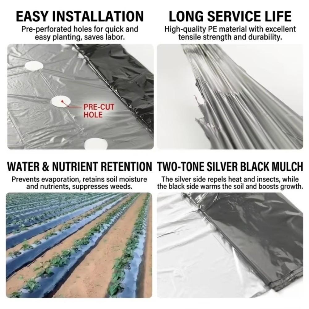 Breathable Perforated Plastic Mulch Film Pre-Punched Holes Black Weed Barrier  Disease Reduction