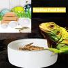 3 tailles Céramique Aquarium Animal de compagnie Reptile Mangeoire Bol Bassin Nourriture Eau Pot Reptile Tortue Tortue Scorpion Lézard Crabes Fournitures