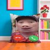 John P-pork Singer Pillow Case Pillow Case Plush Fabric Soft Double Sided Print Home Sofa High Quality Cushion
