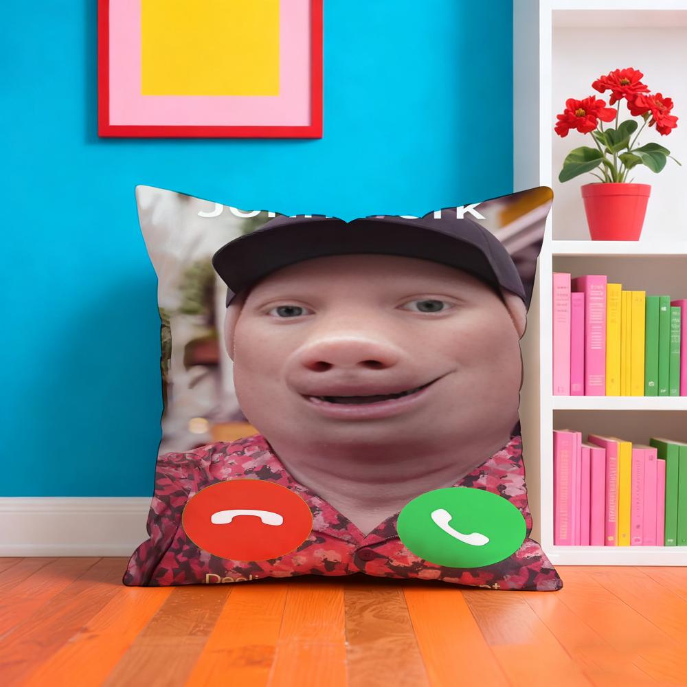 John P-pork Singer Pillow Case Pillow Case Plush Fabric Soft Double Sided Print Home Sofa High Quality Cushion