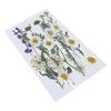 Dried Pressed Flower for Resin Molds Natural Dry Flower Leaves for Art Craft Supplies Scrapbooking Jewelry Making 6XDE