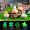 Micro-peisaj Coajă de ou luminoasă Puișor Crocodil Mici Figurine Accesorii Decorative Ornamente Mici Miniaturale