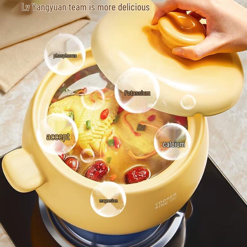 COOKER KING Cute Ceramic Clay Pot Stew Pot