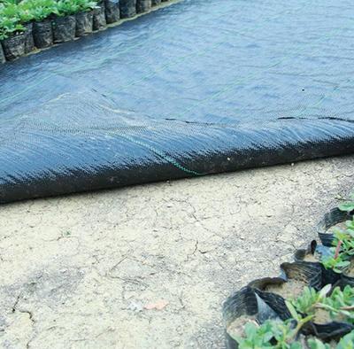 Greenmill Agrowłóknina 1,0 X10M 100G M2 Czarna