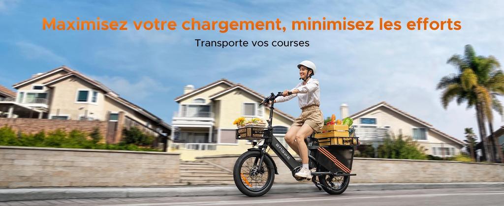 ENGWE Elektrofahrrad für Erwachsene, 250W 100Nm Mittelmotor, unterstützt App-Standortverfolgung, 48V 19,2AH/38,4AH, Reichweite bis zu 180/350 km, LE20 Gepäckbox.