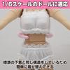 Felimoa Scale Doll Doll Doll Set of 2 1/6 Underwear, Clothes, Accessories,