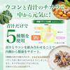 Ginza Marukan Green Juice Vinegar 480 Tablets X 4 Bags