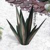 27cm/10.6in Tequila Rustic Sculpture Metal Agave Plant Home Decor Rustic Hand Painted  Garden Ornaments