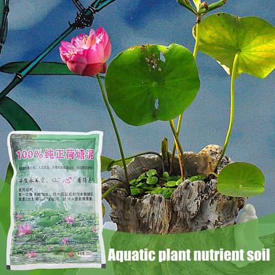 200 g de boue pour étang de rivière, boue pour étang à lotus, engrais pour fleurs, eau de lotus, terreau spécial pour plantes aquatiques à lotus