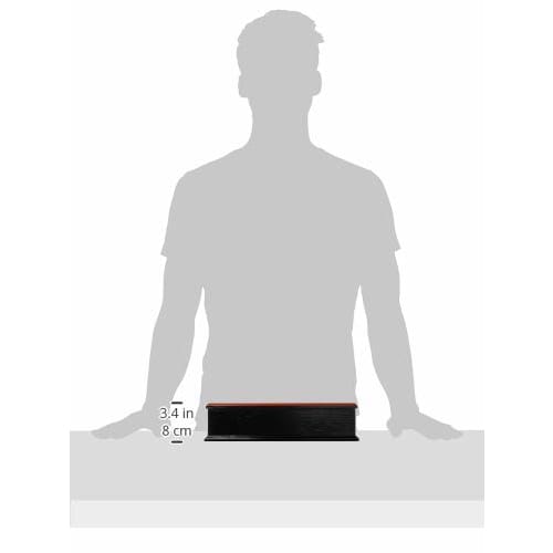 Fukui Craft Roku Chopstick Case (with Toothpick Organizer), 24cm, Black Rim, Vermilion, 82296630, ABS, Japan, RHSQ001