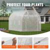 Walk-in Tunnel Greenhouse 9.58x6.43x6.23ft Galvanized Frame PE Cover White