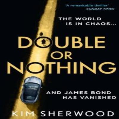 Double or Nothing by Kim Sherwood Paperback Book 9780008495428