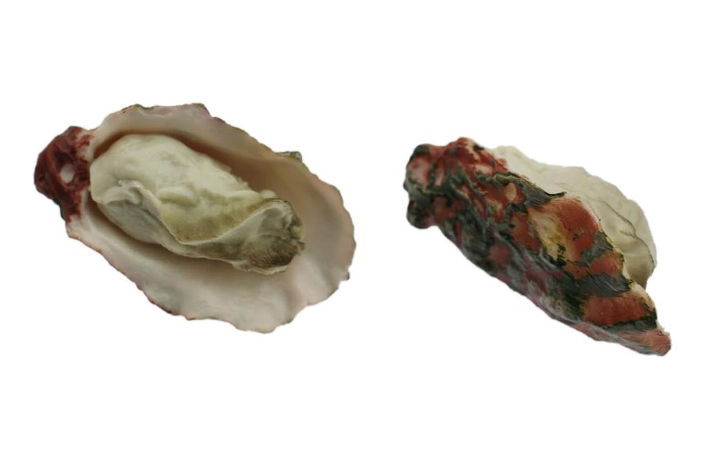 Speed Mao Realistic and Oyster Food Samples Set of 5 Delicious-Looking Models/Food -