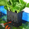 Yousheng Aquarium Plant Holder with Hooks And Suction Cups Easy to Hang Improves Water Circulation Hydroponic Box