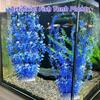 Pești și animale marine – Decorul acvariului