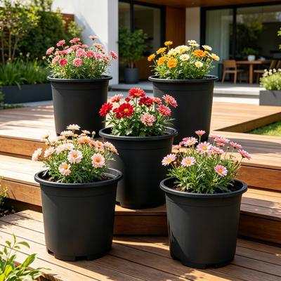 Maceta de plástico negro con orificios de drenaje, de un galón, con borde reforzado para cultivo en interiores y exteriores, viveros e invernaderos.