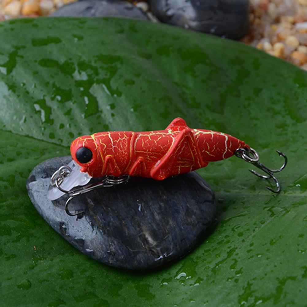 Innovative Design of 5cm Insect Fishing Lures To Attract Fish Easily