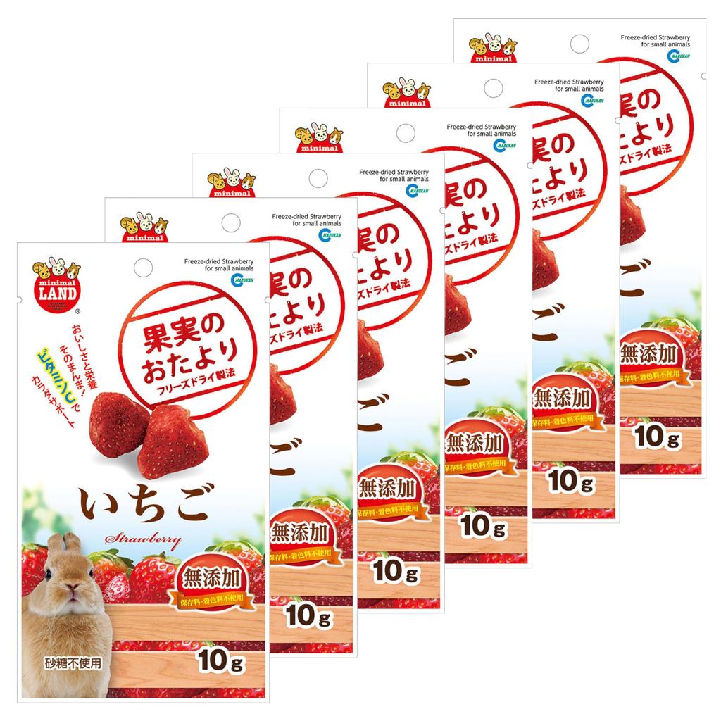 Minimal Land Fruit Letter Strawberry 10g (Set of 6)