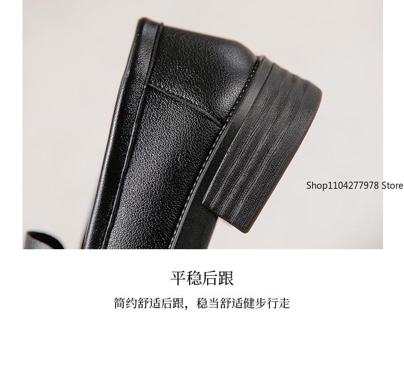 Fashion Super Soft Gold Coin Loafers Pu Leather Women's 2025 New British Style Thick Heel Flats One Pedal Pumps Female Plus Size 42