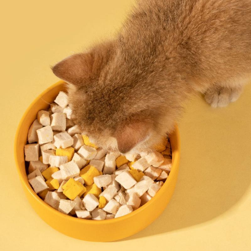 Nice Ceramic Cat Bowl Cat Food Basin Anti-overturn Drinking Water Cat Bowl Dog Cat Feeding Drinking Water Pet Bowl Dog Bowl