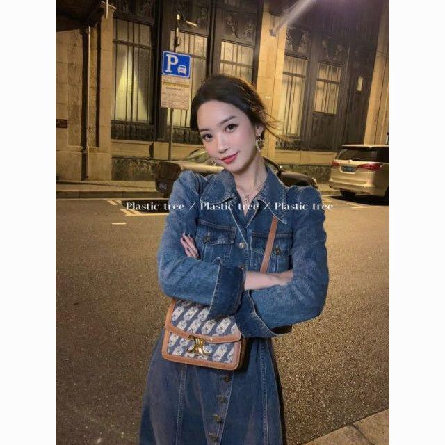 Hong Kong Retro Denim Shirt Dress for Women: Slim-Fit, Elegant, Single-Breasted, Perfect for Spring & Autumn