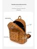Autumn 2025 Women's Niche Leather Double Shoulder Backpack - High-End, Large Capacity for College Students