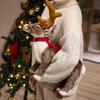 Cute Simulation Elk Reindeer Doll Plush Toy Deer Christmas Deer Doll Children's Company Soothing Doll