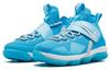 Nike LeBron 14 Ric Flair GS AA3258-404