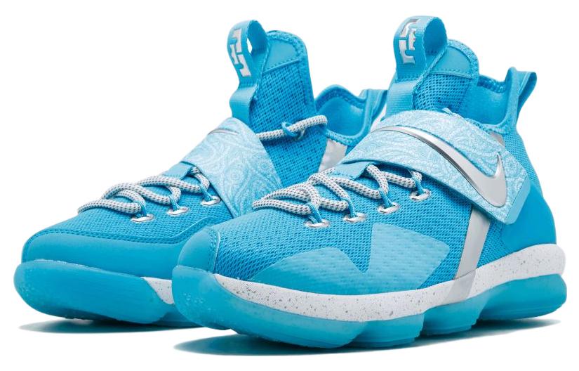 Nike LeBron 14 Ric Flair GS AA3258-404