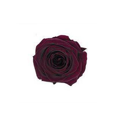 P-1 21 Preserved Roses in a Box Wedding Decor Floral Arrangements Wedding Dried Flower Home Decor Baby Shower Flowers 2~3cm