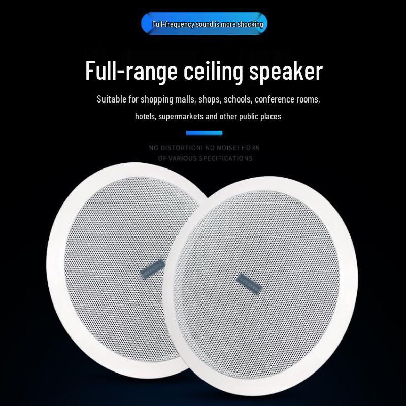 LINGSHENG 6.5-inch Recessed Ceiling Speaker CN plug (adapter included)