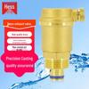Hesdige Brass Automatic Air Vent Valve