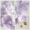 2 Pcs Orchid Artificial Flowers 37 Inch Realistic Fake Orchid Stem for Home Decor Party Wedding Decor