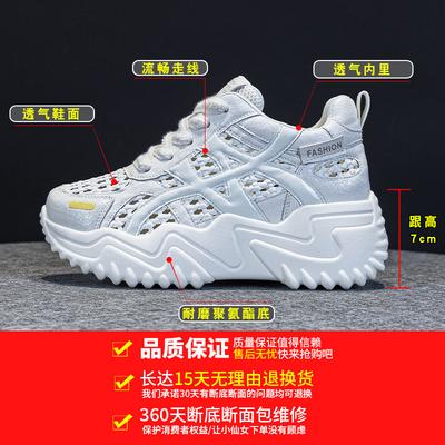 Obuwie damskie – Sneakersy