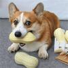 Psí hračka: Pískací hračka odolná proti prokousnutí pro středně velké až velké psy (Corgi/)
