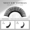 BEFER Easy Fan Lashes Super Soft Easy Fans Eyelash Extension Professional Natural Individual Eyelashes Extension Large Supplier
