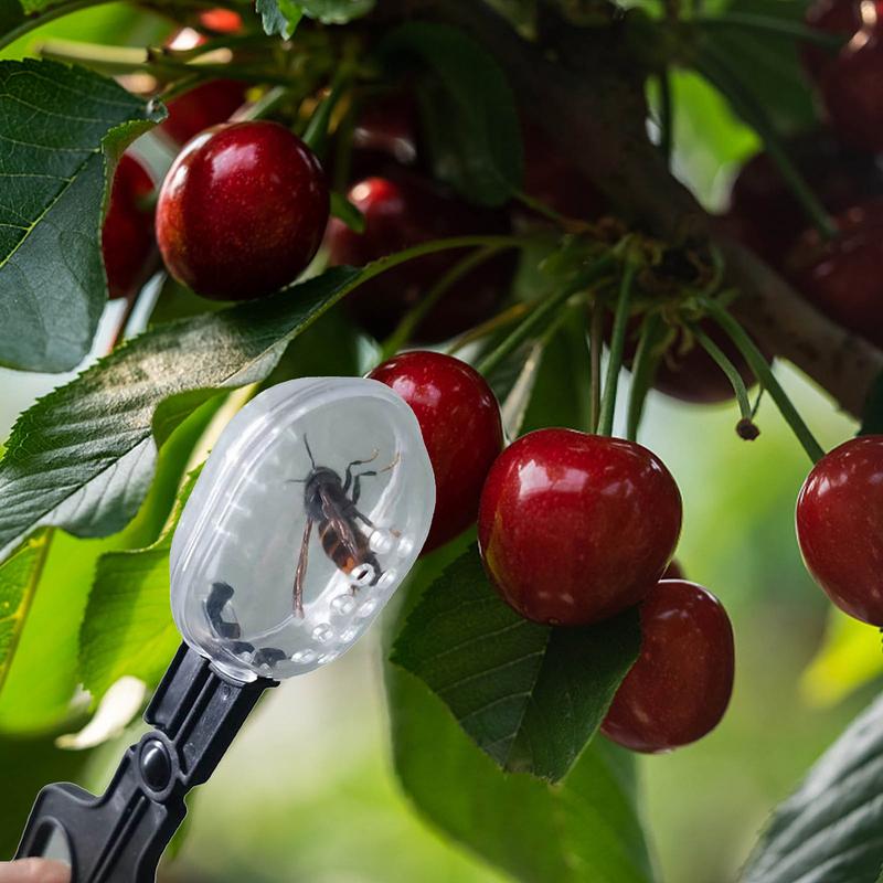 Königinnenfangkäfig Clips Bienenstockwerkzeuge Wiederverwendbarer Königinnenfänger Leichtes Fangwerkzeug Schwarmfanggeräte für den Außenbereich