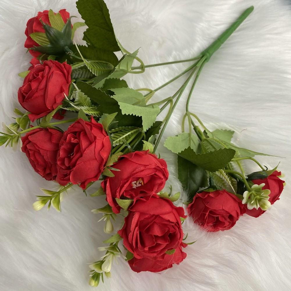 

Скандинавские Имитационные Цветы Звездные Пионы Звездные Пионы Искусственные Цветы