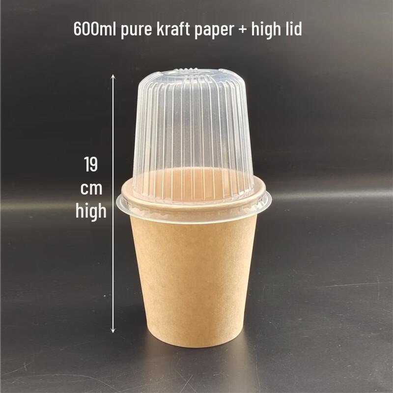 Disposable Food Take-out Containers