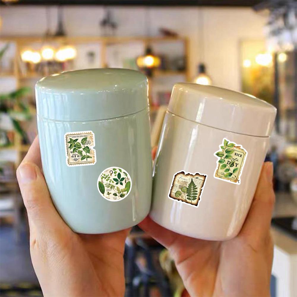 50 Botanical Garden Label Stickers for Journals, Phones, Guitars, Water Cups - Green Eye Protection
