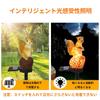 YZYOE Outdoor Pineal Squirrel Cute Resin Animal Garden Wireless Dusk To Dawn LED Solar-Powered Lamp, Lamp, Waterproof.