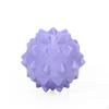 Handheld Spiky Massage Ball | Firm TPE Material, Textured Pressure Tool, for Muscle