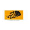The North Face Base Camp 22.14L Logo Backpack Outdoor Bag Unisex Backpacks Starry-Gold 8BK4