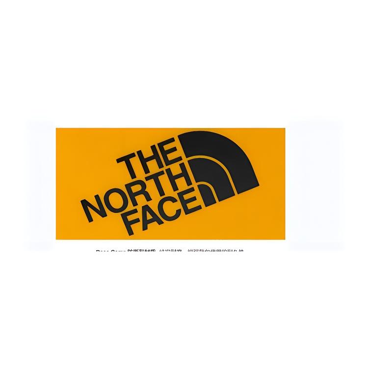 The North Face Base Camp 22.14L Logo Backpack Outdoor Bag Unisex Backpacks Starry-Gold 8BK4