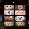 PERFECT DIARY Animal Eyeshadow Palette Glitter Matte 12 Colors with Brush Red Fox