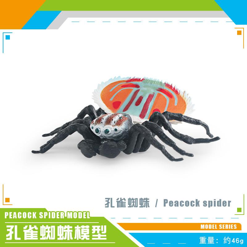 Export Simulation Insect Animal Model Red And Blue Peacock Spider Striped Fly Spider Static Cognitive Ornament Toy