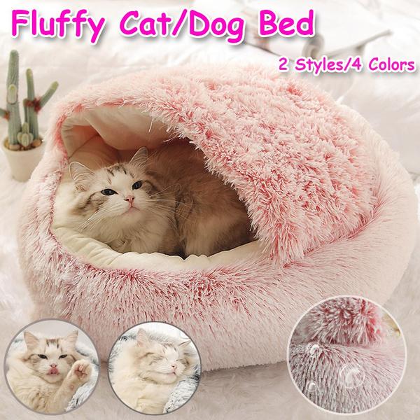 cat fluffy bed