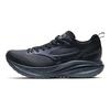 Pi Plus Pl Shock Absorption